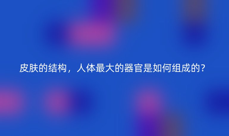 皮膚的結(jié)構(gòu)，人體最大的器官是如何組成的？